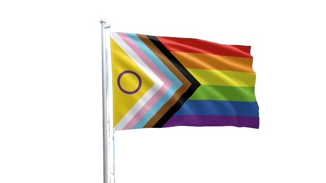 Rainbow Flags (5ft *3ft )