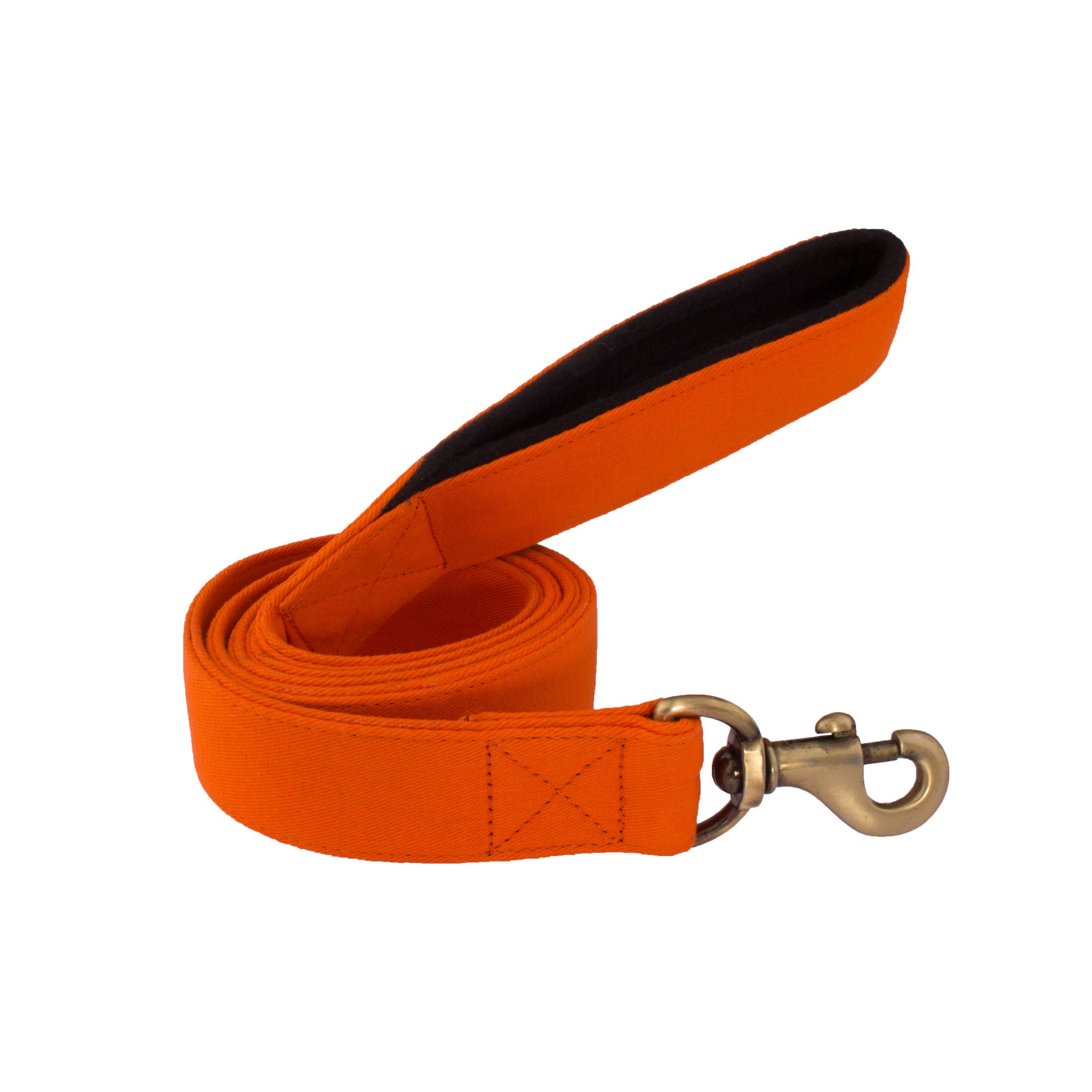 PetWale Orange Leash with Padded Handle