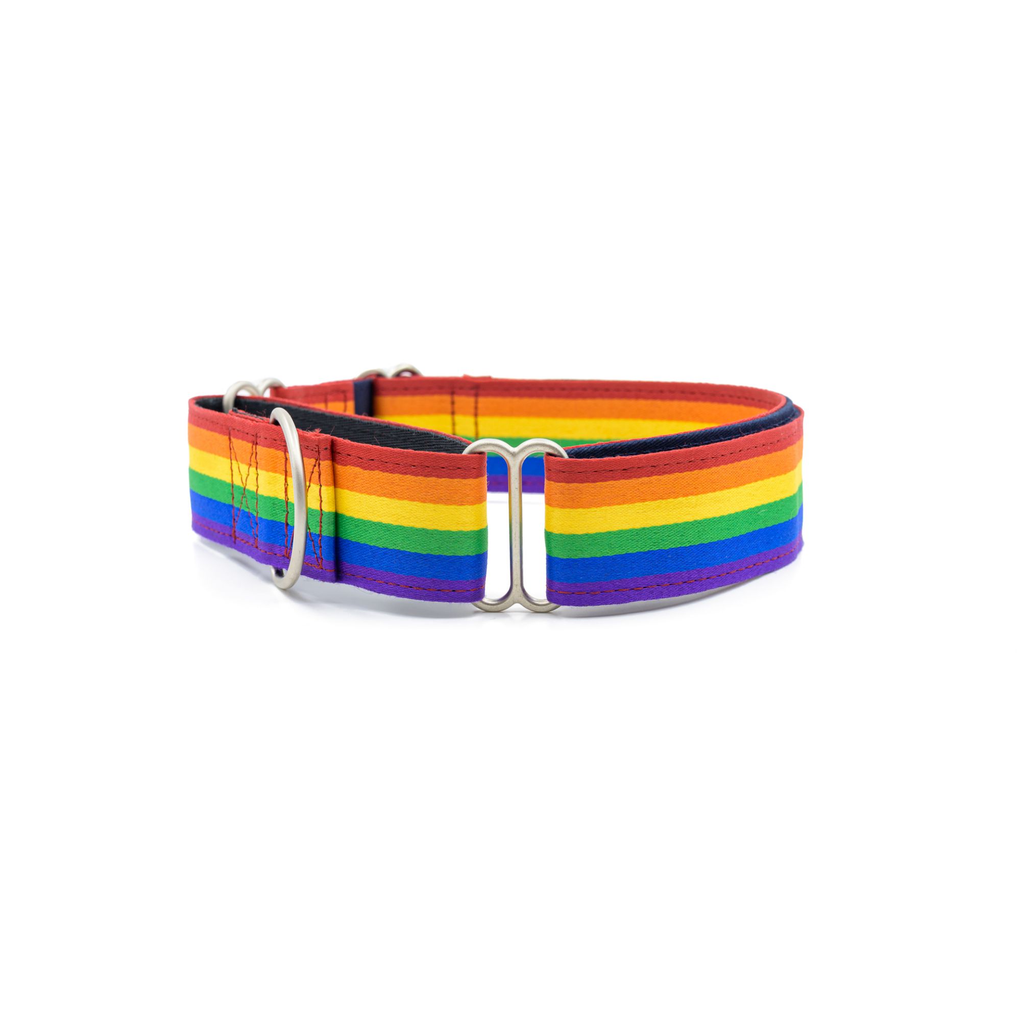 PetWale Rainbow Pride Martingale Collar