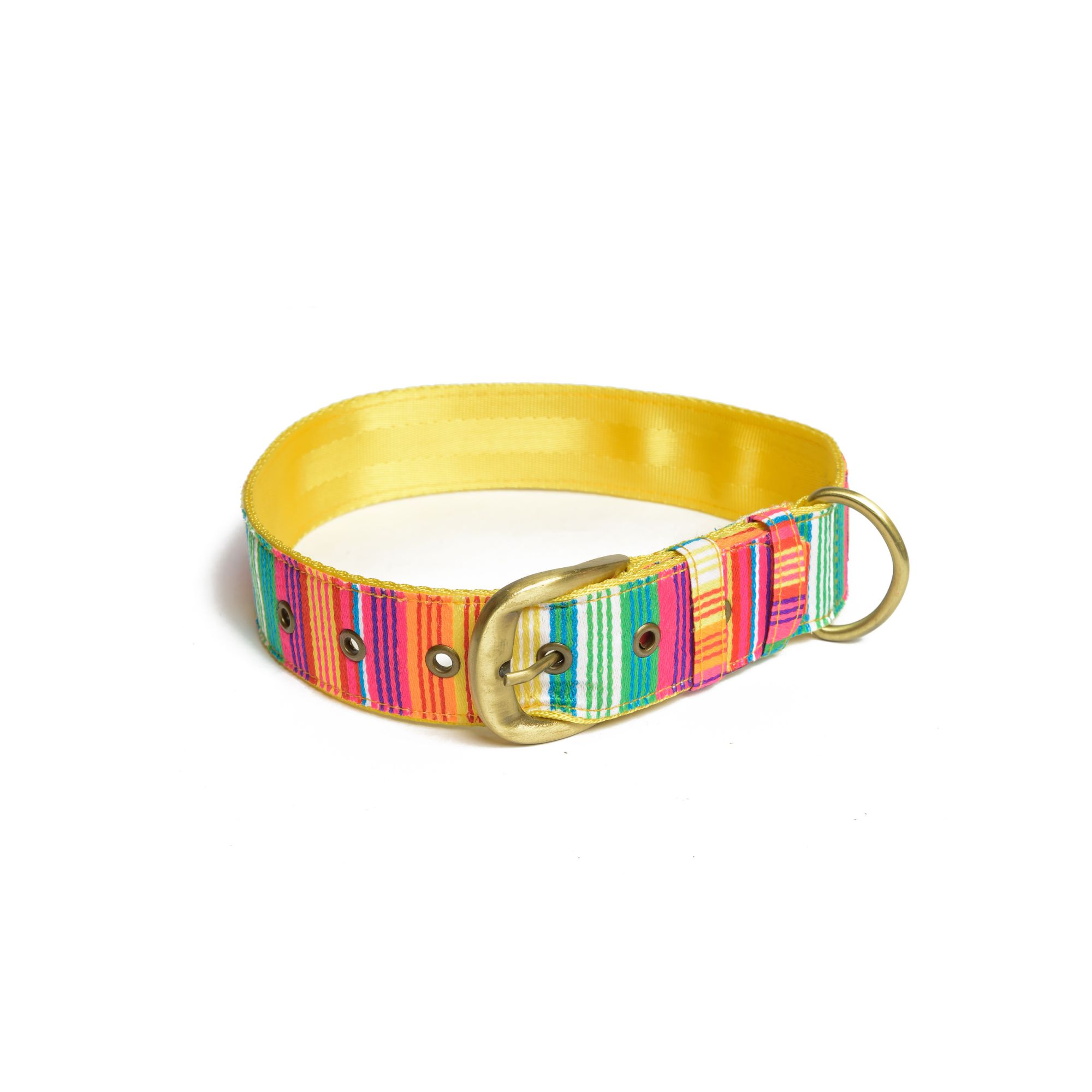 PetWale Colourful Stripes Dog Belt Collar