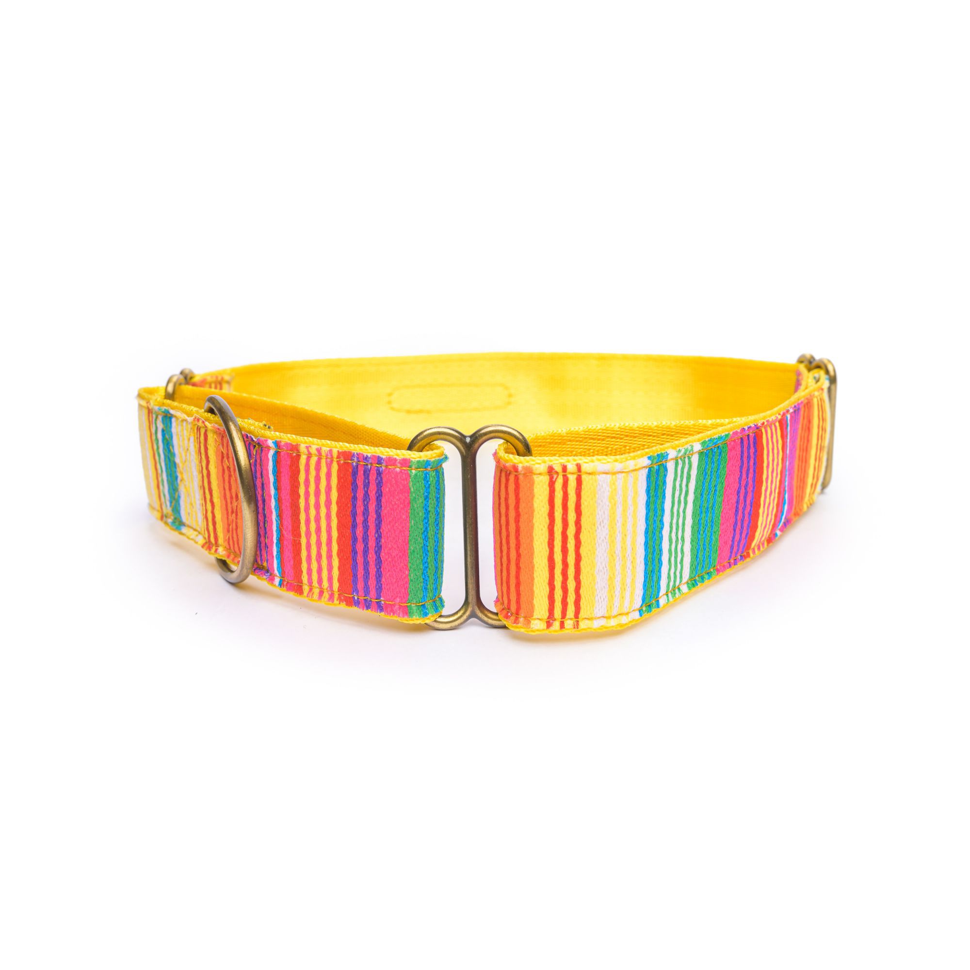 PetWale Colourful Stripes Dog Martingale Collar