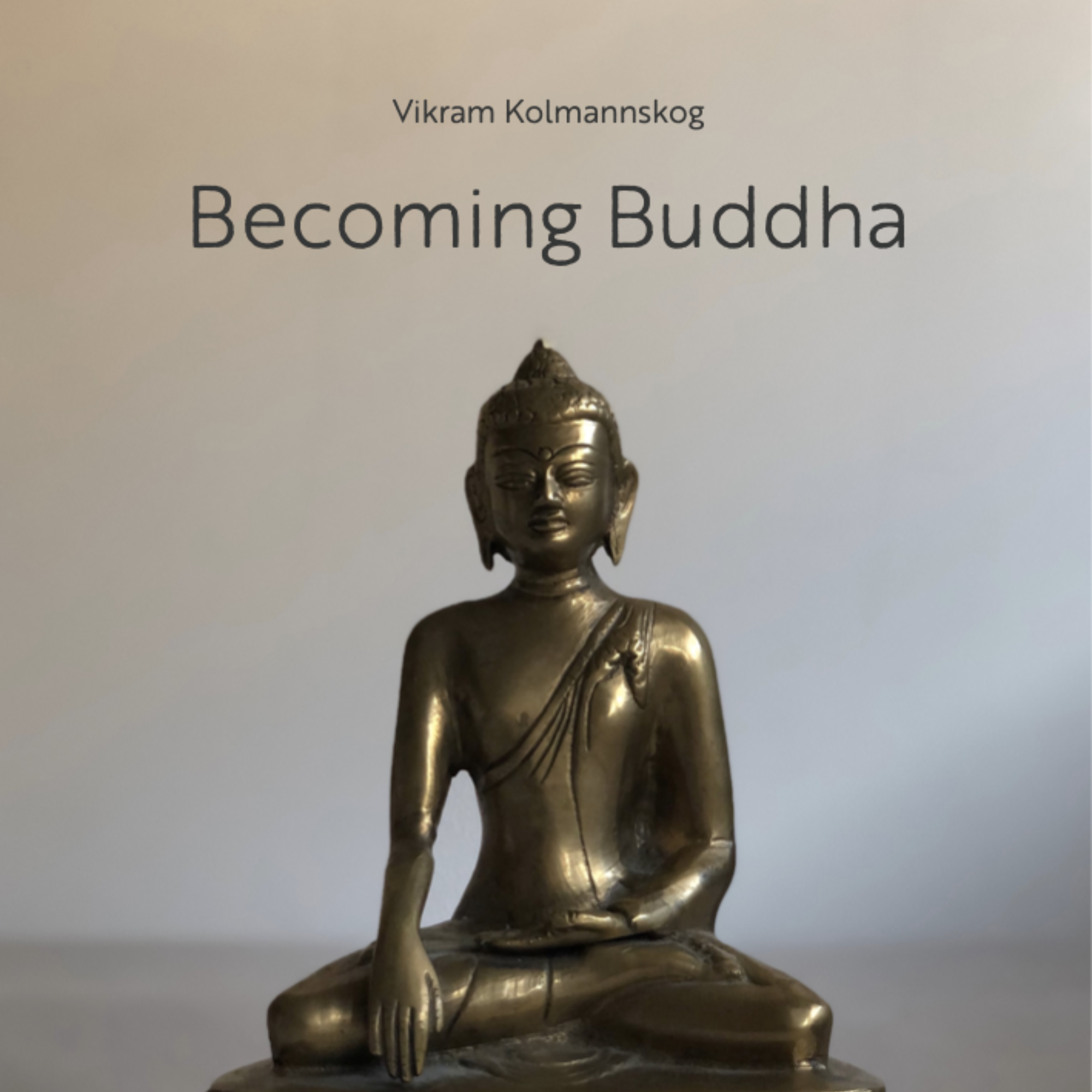 Becoming Buddha: Meditations