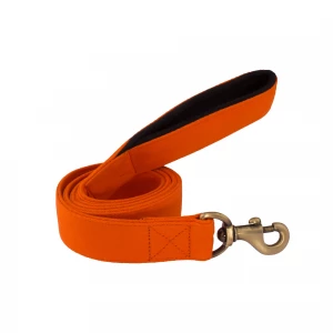 petwale-orange-leash-with-padded-handle