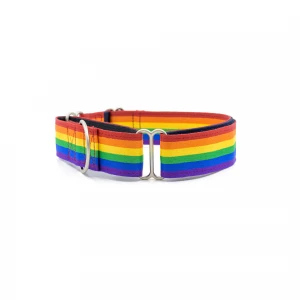 petwale-rainbow-pride-martingale-collar