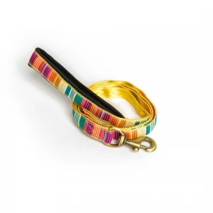 petwale-colourful-stripes-leash-with-padded-handle