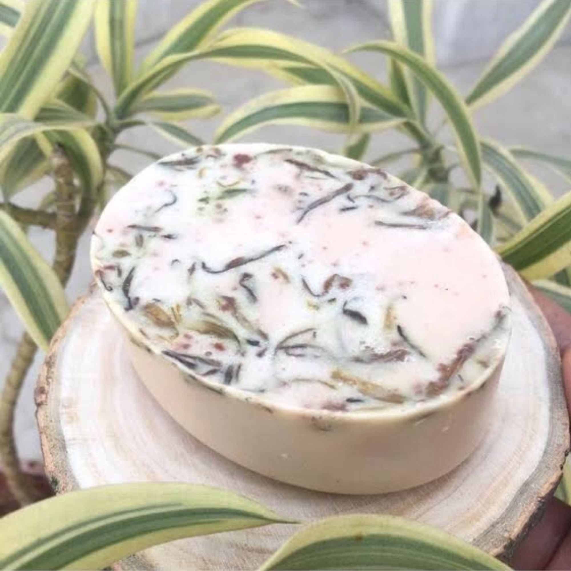 Le Clou (white sandalwood) Camel Milk Soap