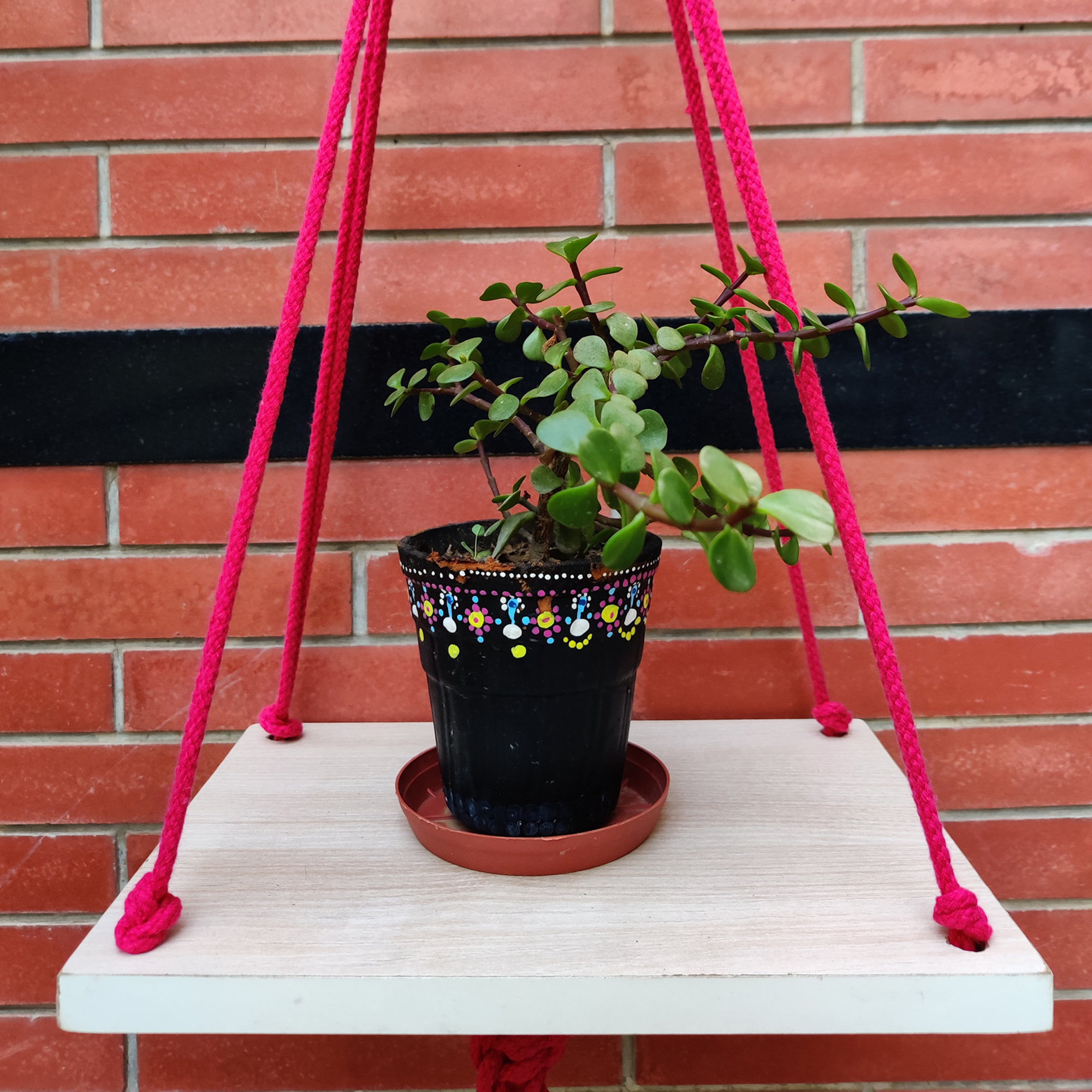 Plant Holder