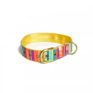 petwale-colourful-stripes-dog-belt-collar